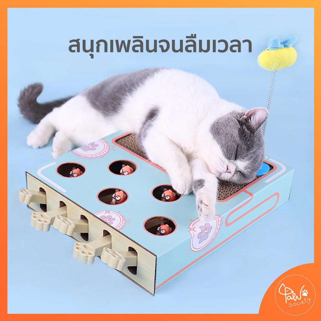 ภาพสินค้าPawSociety กล่องของเล่น พร้อมที่ฝนเล็บแมว ตัวตุ่นแมว ของเล่นแมว ที่ลับเล็บแมว กล่องปริศนา จากร้าน pawsociety บน Shopee ภาพที่ 4