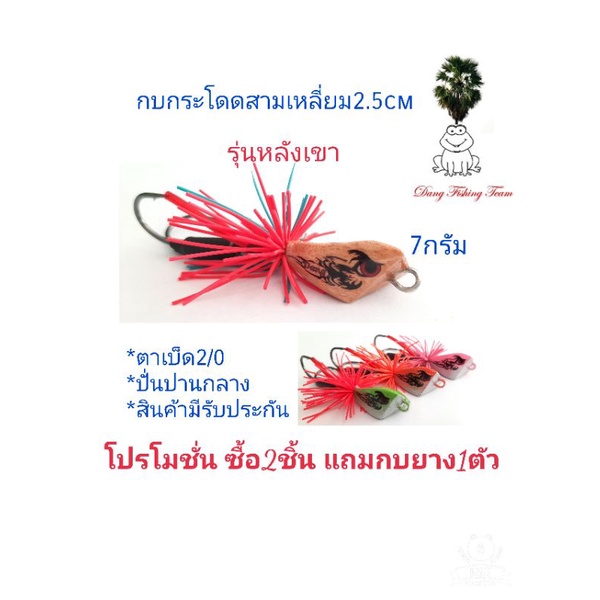 กบกระโดดสามเหลี่ยม-รุ่นหลังเขา-ขนาด2-5cm-โปรซื้อ-2-แถมกบยาง1