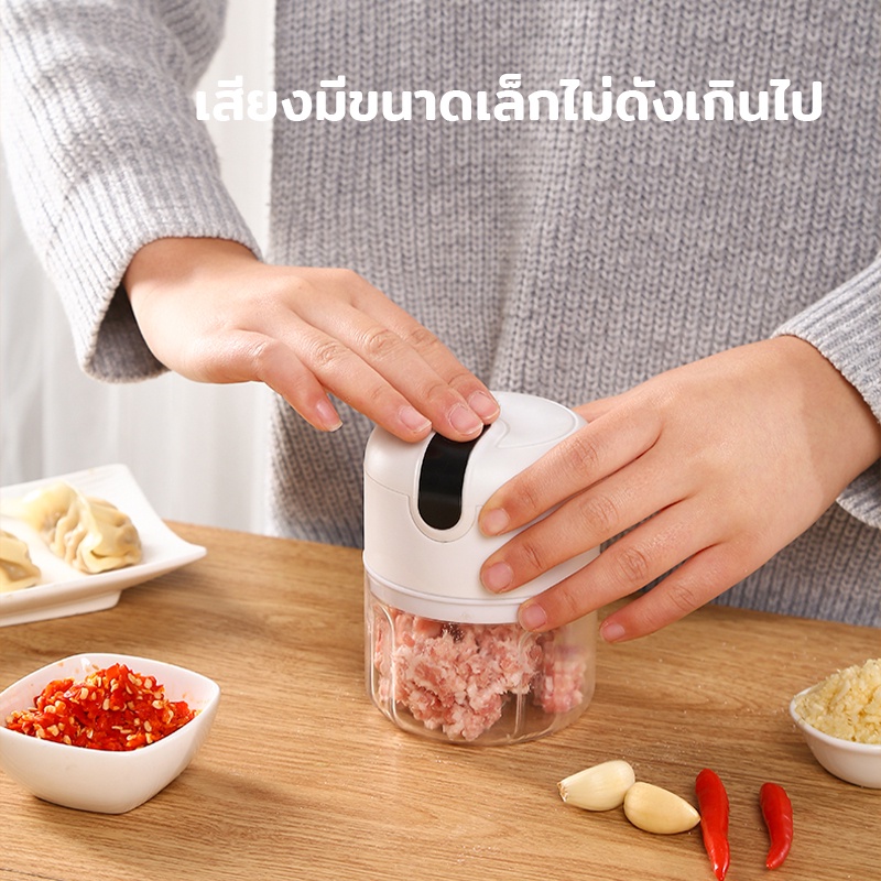 เครื่องบดกระเทียม-มินิไร้สาย