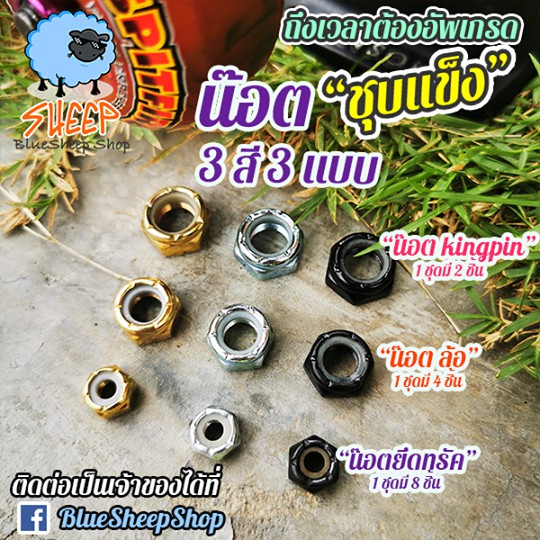 น๊อตสเก็ตบอร์ด-น๊อตคิงพิน-น๊อตล้อ-น๊อตยึดทรัค-น๊อตตัวเมีย-kingpin-wheels-truck-nut