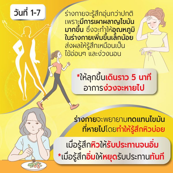 super-hi-sol-แคปซูล-gs-hi-sol-goldshape-ส้มการ์ซิเนีย-ซุปเปอร์ไฮโซล-ลดไขมันส่วนเกิน-เร่งเผาผลาญไขมัน-ควบคุมน้ำหนัก