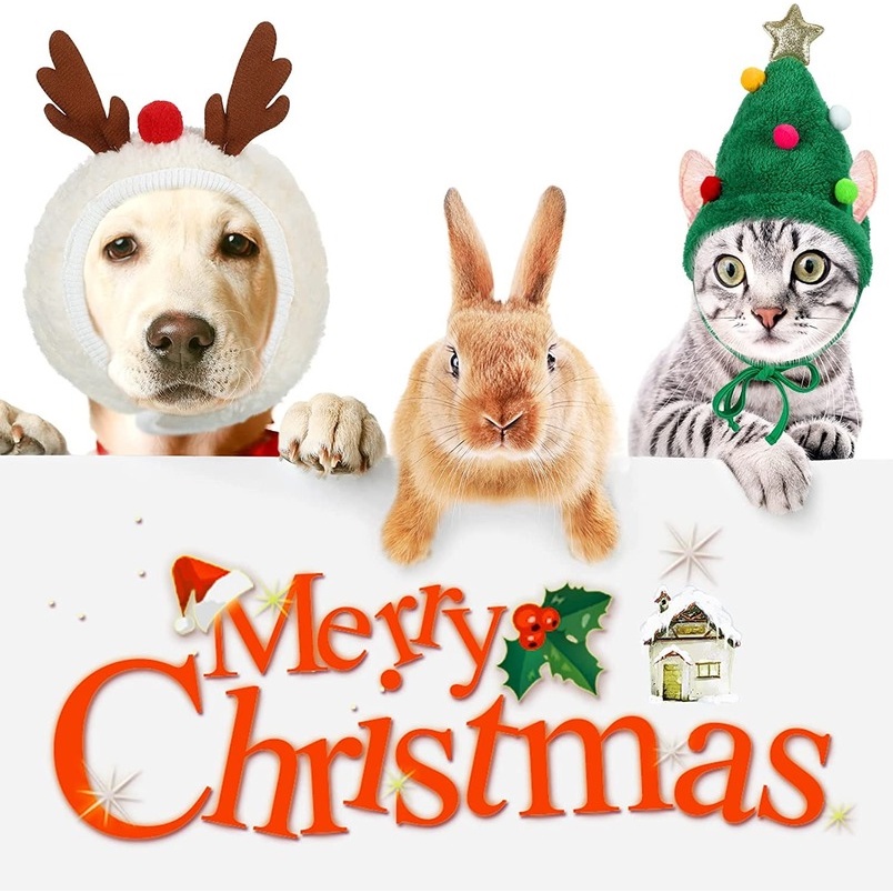 การ์ตูนน่ารัก-หลากสี-ลูกบอล-ต้นคริสต์มาส-หมวกสัตว์เลี้ยง-ซานตาคลอส-รูปแบบลูกสุนัข-น้ําลาย-ผ้าขนหนู-อุปกรณ์ตกแต่งสัตว์เลี้ยงคริสต์มาส