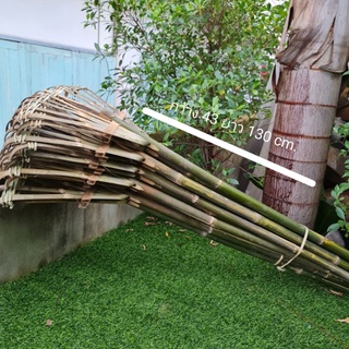 ไม้กวาดมือเสือ กวาดใบไม้ใบหญ้าสะอาดของใหม่ ขายราคาถูกที่สุด กว้าง 43 ยาว 130 cm. (10 อันใน 1 มัด)