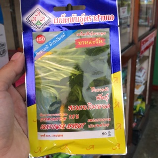 เมล็ดทานตะวัน สามเอ กินยอด ราคา 10.-