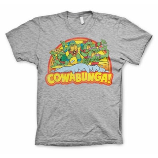 TEENAGE MUTANT NINJA TURTLES (TMNT) COWABUNGA DISTRESSED GREY T-SHIRT