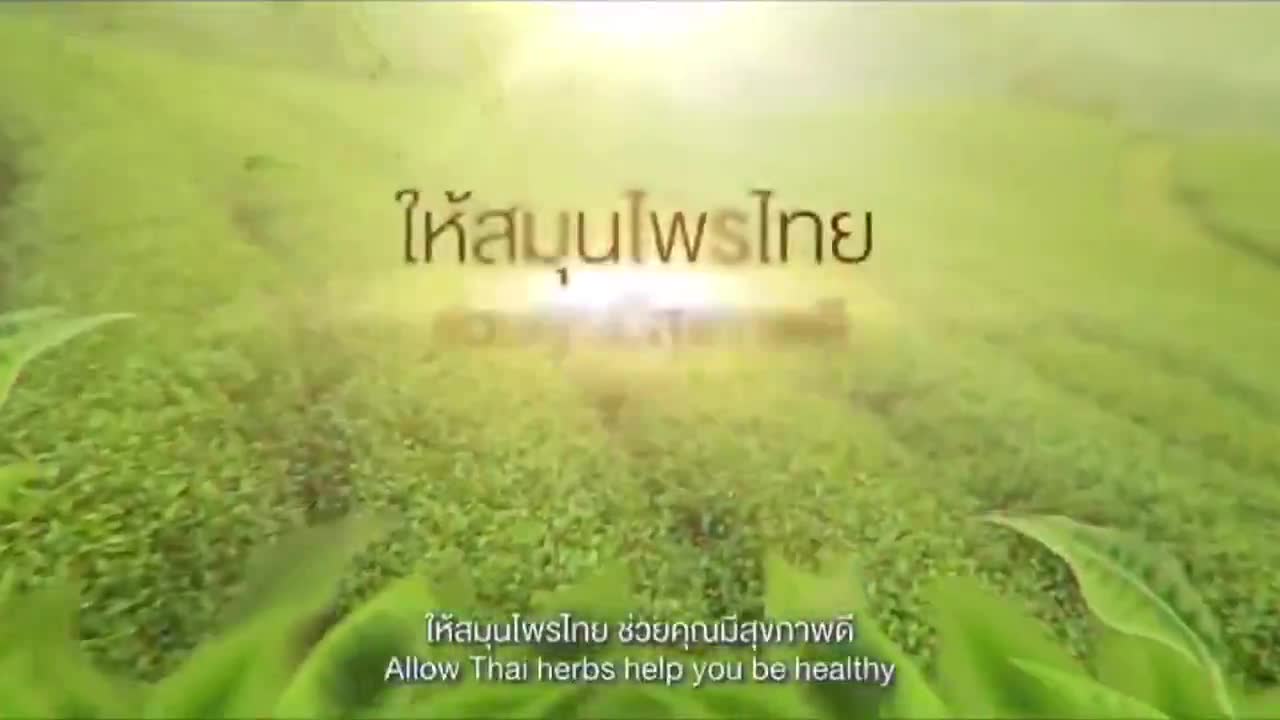 ชุดสุดคุ้ม-ชาชงนพเก้า-20-กล่อง-สมุนไพร-9-ชนิด-เพื่อเสริมสุขภาพที่ดี-สินค้าจากตัวแทนจำหน่าย