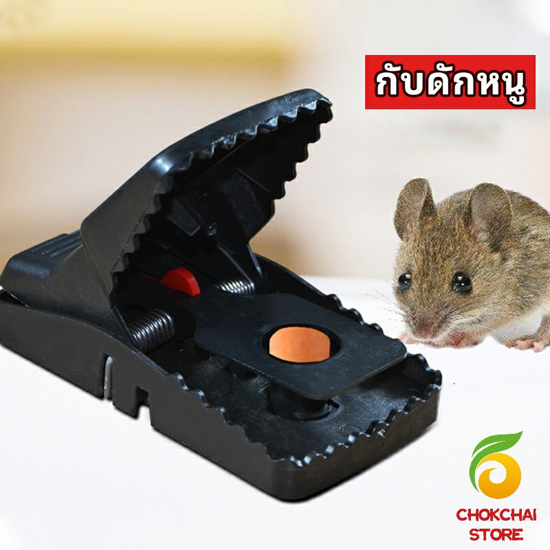 chokchaistore-กับดักหนู-ใช้ซ้ำได้-กับดักหนู-กับดักหนูสปริง-ความไวสูง-mouse-traps