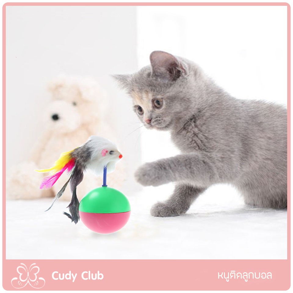 ของเล่นแมวหนูติดลูกบอล-cudy-club-โยน-กลิ้งล้มลุก-เล่นสนุก-หยุดไม่ได้