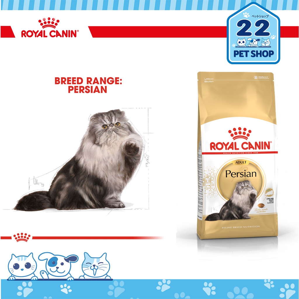 royal-canin-adult-รอยัลคานิน-อาหารแมวโตตามสายพันธุ์-persian-ขนาด-4kg