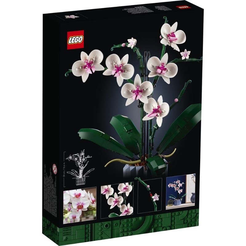 lego-10311-orchid-ของแท้