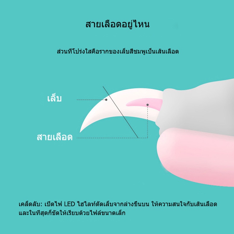 กรรไกรตัดเล็บสุนัข-มีไฟ-led-ที่ตัดเล็บสัตว์เลี้ยง-ที่ตัดเล็บสุนัข-ที่ตัดเล็บหมว-กรรไกรตัดเล็บหมา-อุปกรณ์ดูแลเล็บสุนัข