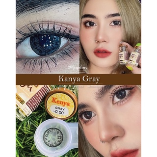 ✨ Kanya gray (Maya lens) ขนาดBig ตาโต ✔️เลนส์จดทะเบียนถูกต้อง (บิ๊กอาย คอนแทคเลนส์ bigeyes)