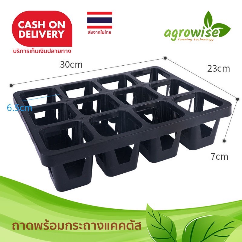 กระถางต้นไม้พลาสติก-ถาดหลุมใส่กระถาง-กระถางต้นไม้-7-ซม-คละสี-ถาด-12-ช่อง