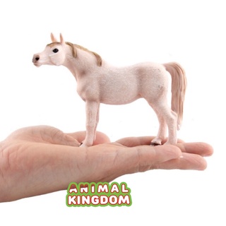 Animal Kingdom - โมเดลสัตว์ ม้า Arabian ขนาด 12.50 CM (จากหาดใหญ่)