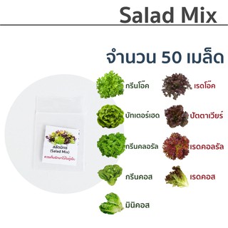 เมล็ดพันธุ์ ผักสลัด รวม (Salad Mix)