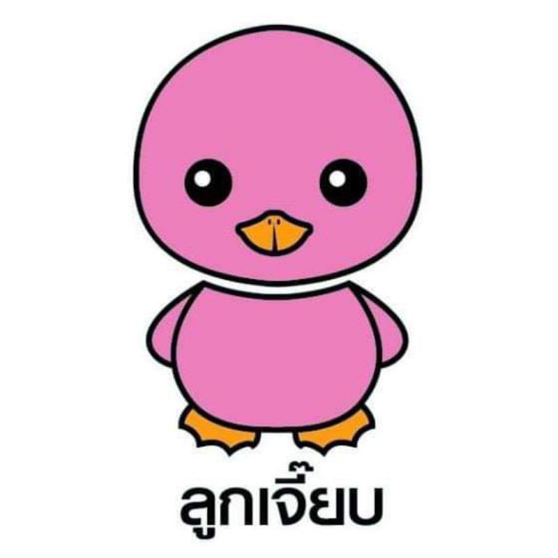 ลูกเจี๊ยบ-ฟองน้ำอนามัยbnโหลละ350บาท10โหลแถม2โหลจัดส่งฟรี