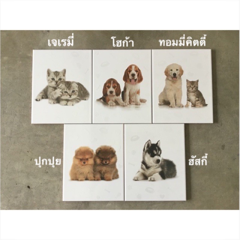 กระเบื้องเซรามิคติดผนังลายสุนัขและแมว-ชุดละ5แผ่น