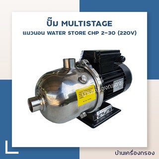 [บ้านเครื่องกรอง] ปั๊ม MULTISTAGE แนวนอน WATER STORE CHP 2-30 (220V) (ปั๊มเครื่องกรอง/ปั๊มเคมี)