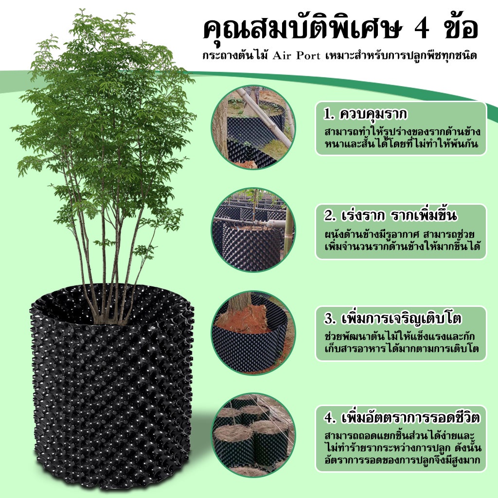 กระถาง-air-pot-ปลูกต้นไม้-ระบายน้ำ-และอากาศได้ดี-ดูดซึมออกซิเจนได้ดีขึ้น-รากเกินดี-b-071