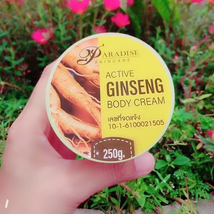 active-ginseng-body-cream-แอคทีฟ-จินเส็ง-บอดี้-ครีม-ครีมโสมจินเส็ง