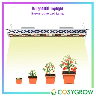 ไฟปลูกต้นไม้ LED Grow Light Top light 320W / 600W Greenhouse Led Lamp Indoor Plant ไฟปลูกในกรีนเฮ้าท์ ไฟปลูกพืชในร่ม