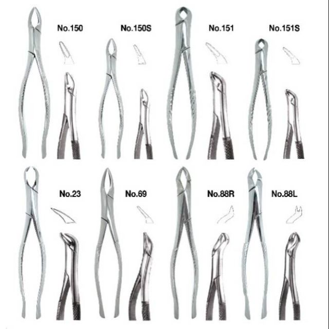 Dentalforcep 150/150S/151/151S/69/23/88L/88R | Shopee Thailand
