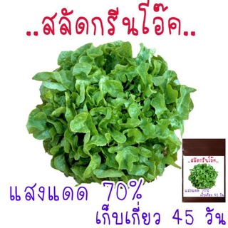 _100​ เมล็ด ผักสลัดกรีนโอ๊ค​ Green​ oak ​