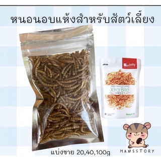 สินค้า หนอนอบแห้งสำหรับสัตว์เลี้ยงฟันแทะทุกชนิด