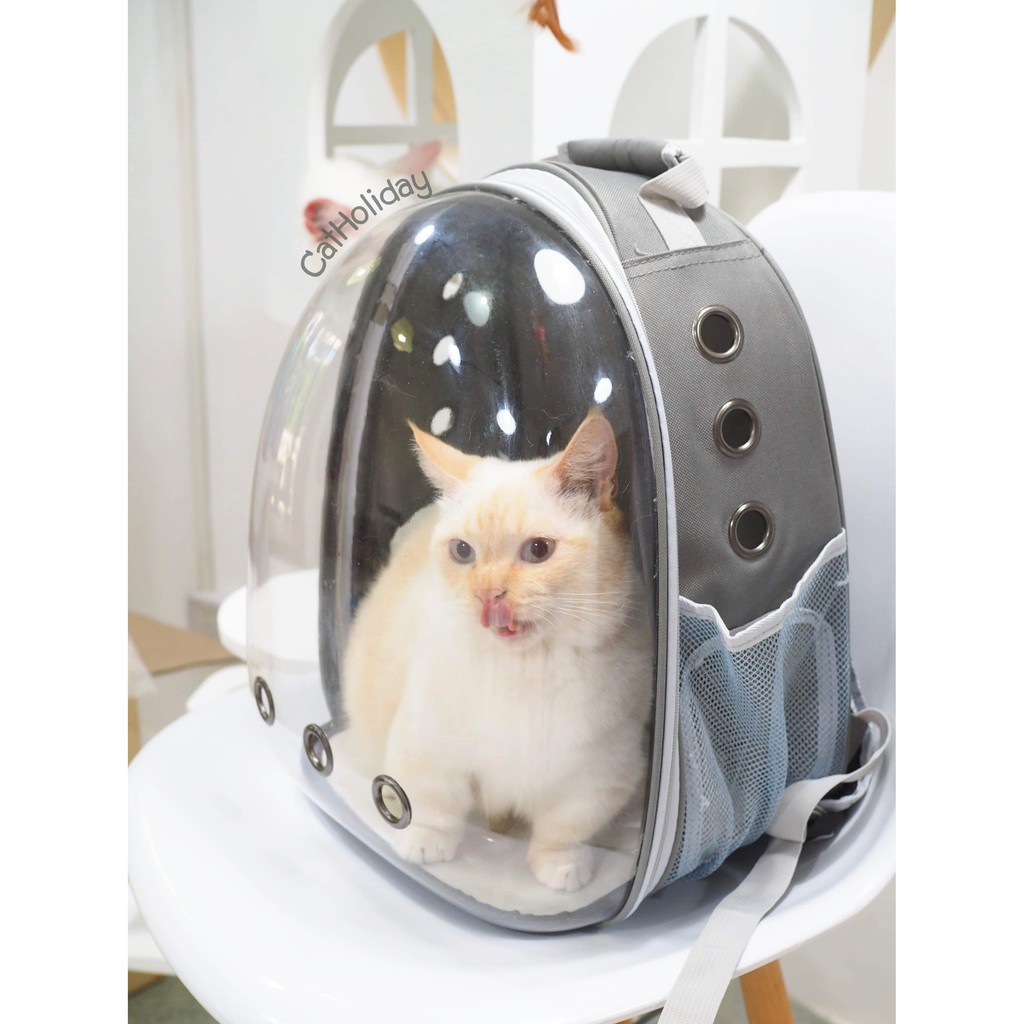 ภาพสินค้าPet Space Bag กระเป๋าใส่สัตว์​เลี้ยงทรงอวกาศ กระเป๋าใส่แมวและหมาแบบสะพายหลัง มี7สี C07 C47 จากร้าน li0961346816 บน Shopee ภาพที่ 3