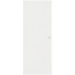 STEEL DOOR D1W 79.2x199.4cm. WHITE ประตูเหล็ก PROFESSIONAL DOOR D1W 79.2x199.4 ซม. สีขาว ประตูบานเปิด ประตูและวงกบ ประตู