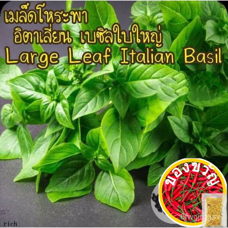  5 large leaf