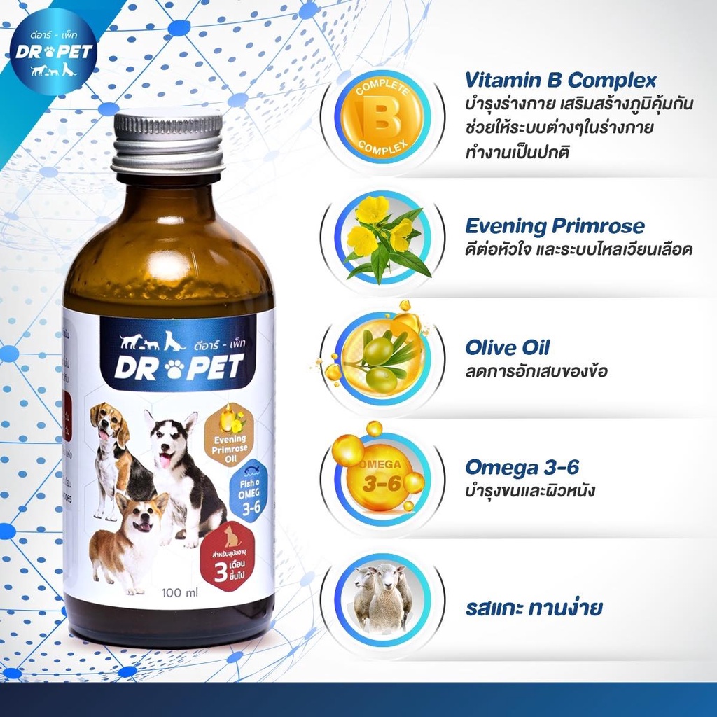 dr-pet-วิตามินบำรุงร่างกายสัตว์