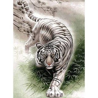 ภาพมงคล รูปภาพพญาเสือขาว White tiger ขนาด A3 12x18 นิ้ว ไม่มีกรอบ , A4 8×12 นิ้ว พร้อมกรอบรูป และ ขนาด A5 5x7 นิ้ว พร้อม