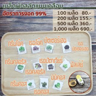 เมล็ดผักชนิดเคลือบ จำนวน 100,200,500 เมล็ด ผักสลัด เมล็ดออแกนิค กรีนโอ๊ค เรดโอ๊ค บัทเตอร์เฮด กรีนคอส เรดคอส ฟิลเล่ย์