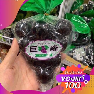 ⭐️ของแท้จากญี่ปุ่น⭐️Kyoho grape jelly เยลลี่องุ่นเคียวโฮแท้ 100% เพื่อความอร่อย ฟิน แนะนำให้แช่ตู้เย็นก่อนกิน