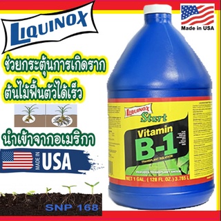 B1 เร่งราก Liquinox Start (USA) นำเข้าจากอเมริกา ยาเร่งราก บี1 ฟื้นฟูต้นไม้ เร่งรากแคคตัส 3.785 ลิตร (1 แกลลอน)