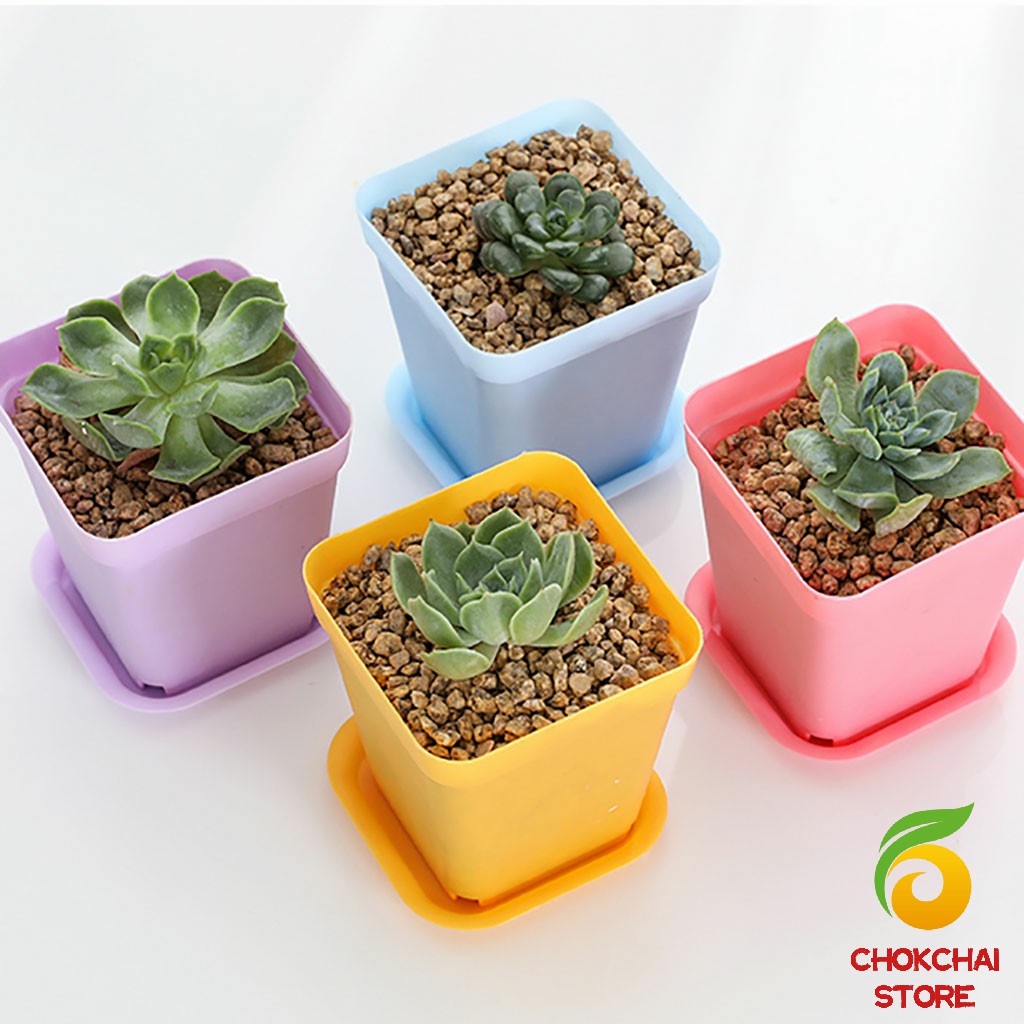 chokchaistore-กระถางต้นไม้พลาสติก-พร้อมถาดรอง-กระถางขนาดเล็ก-plastic-flowerpot