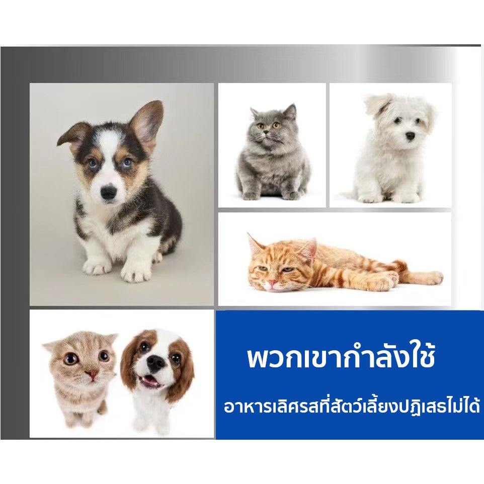 เครื่องให้อาหารแมวอัตโนมัติที่ให้อาหารอัตโนมัติ-เครื่องให้อาหาร-ชามข้าว-ชามอาหาร-หมา-แมว-อัตโนมัติ-3-5ลิตร