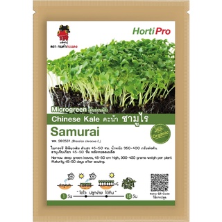 เมล็ดต้นอ่อนคะน้า ซามูไร Microgreen Chinese Kale Samurai บรรจุ 10 g.