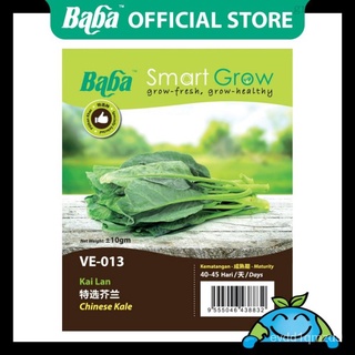 Baba VE-013 Smart Grow Chinese Kale Seed - Vegetable Seed [5g] [Hot Selling! Restock On Demand]生菜/文胸/芹菜/通心菜/母婴/苹果/男装/see