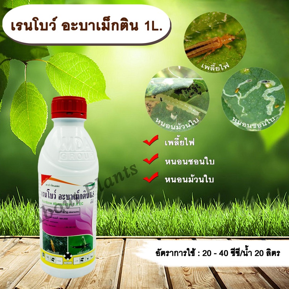 เรนโบว์-อะบาเม็กติน-1l-อะบาเม็คติน-สารกำจัดแมลงเพลี้ย-หนอน-เพลี้ยไฟ-หนอนชอนใบ-หนอนม้วนใบ-หนอนแมลงวันชอนใบ-allaboutplants