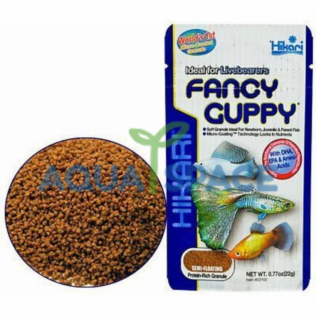 hikari-fancy-guppy-22g-อาหารสำหรับปลาหางนกยูง-ปลาสอด-เม็ดเล็กลอยกินง่าย-โปรตีนสูง-เร่งโต-เร่งสี