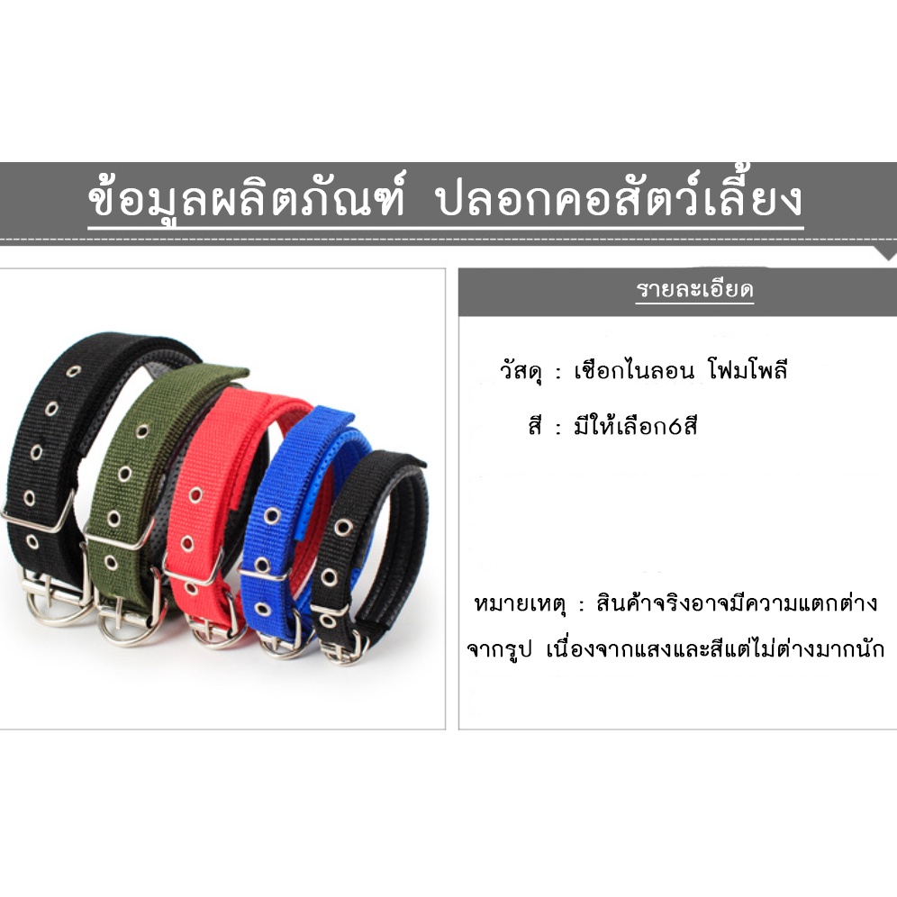 n026-ปลอกคอสุนัข-แบบไนล่อน-ปลอกคอสัตว์เลี้ยง-หมา-แมว-พันธ์ใหญ่-พันธ์เล็ก-pet-collar-พร้อมส่ง