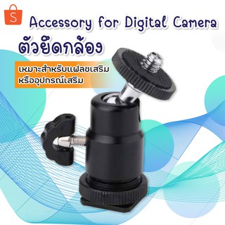 ภาพหน้าปกสินค้าMini Ball Head Hot Shoe Adapter Accessory for Digital Camera สกรู 1/4 นิ้วขาตั้งกล้องหัวบอล ที่เกี่ยวข้อง