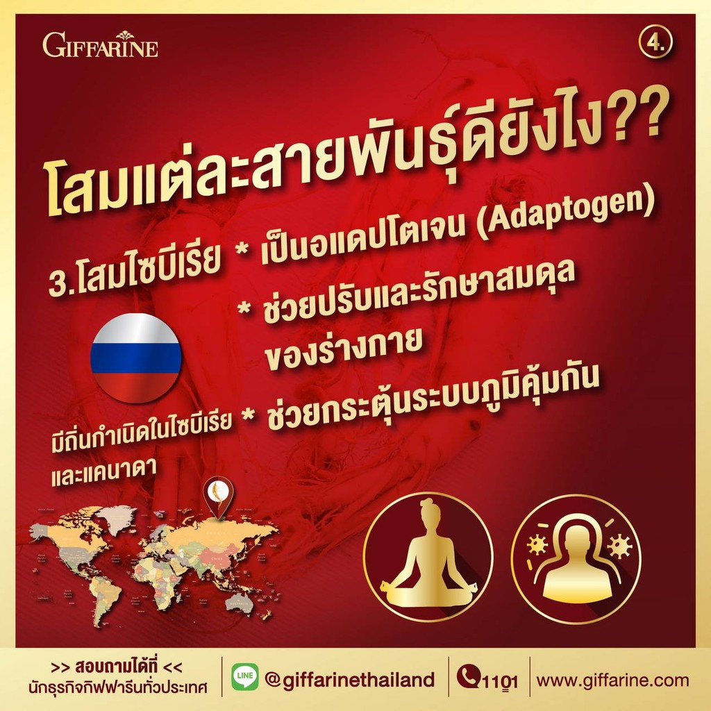 โสมเกาหลี-บำรุงร่างกาย-หัวใจแข็งแรง-ช่วยเสริมสมรรถภาพทางเพศ