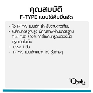 ภาพขนาดย่อของภาพหน้าปกสินค้าF-TYPE แบบอัด สีเงิน รหัส 12006 บรรจุ 1 ตัว จากร้าน cmetal_thailand บน Shopee