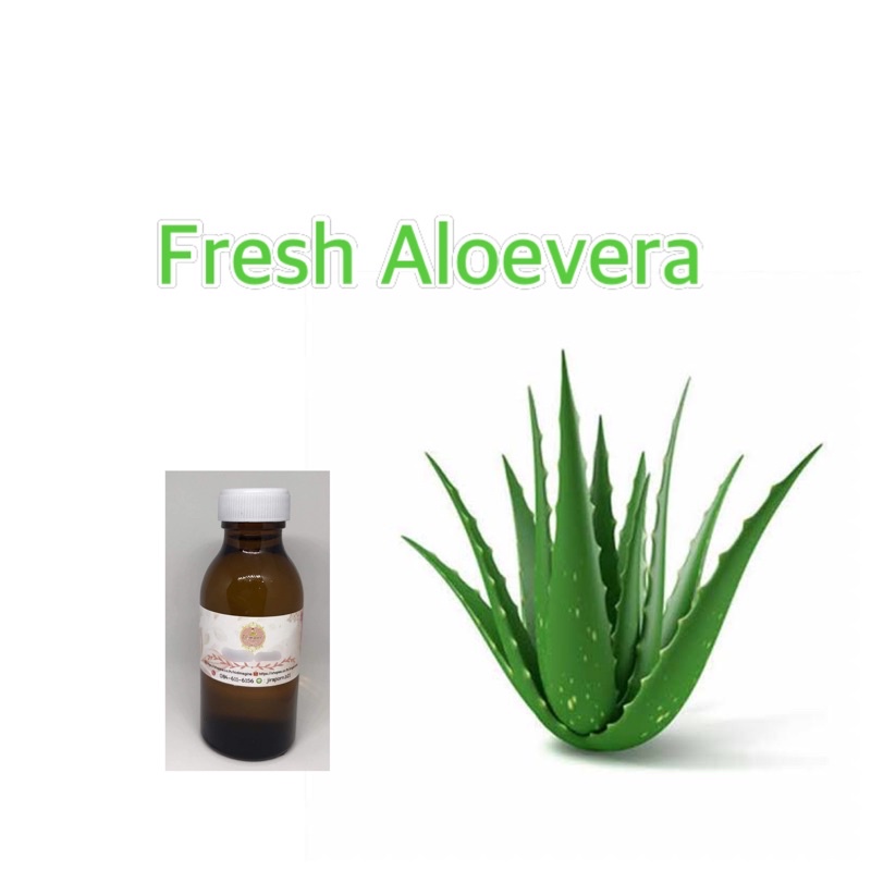 หัวน้ำหอมกลิ่น-ว่านหางจรเข้-หอมสดชื่น-aloevera