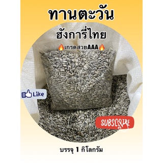 ทานตะวันนกแก้ว *เล็ก*ขนาด 1Kg. ธัญพืช อาหารนก อาหารนกเล็ก เลิฟเบิร์ด หงหยก ฟอพัส อาหารนกแก้ว ธัญพืชนก