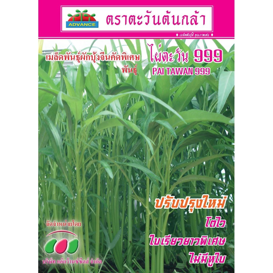 เมล็ดพันธุ์ผักบุ้ง-1kg-ตรา-ตะวันต้นกล้า-พันธุ์ไผ่ตะวัน