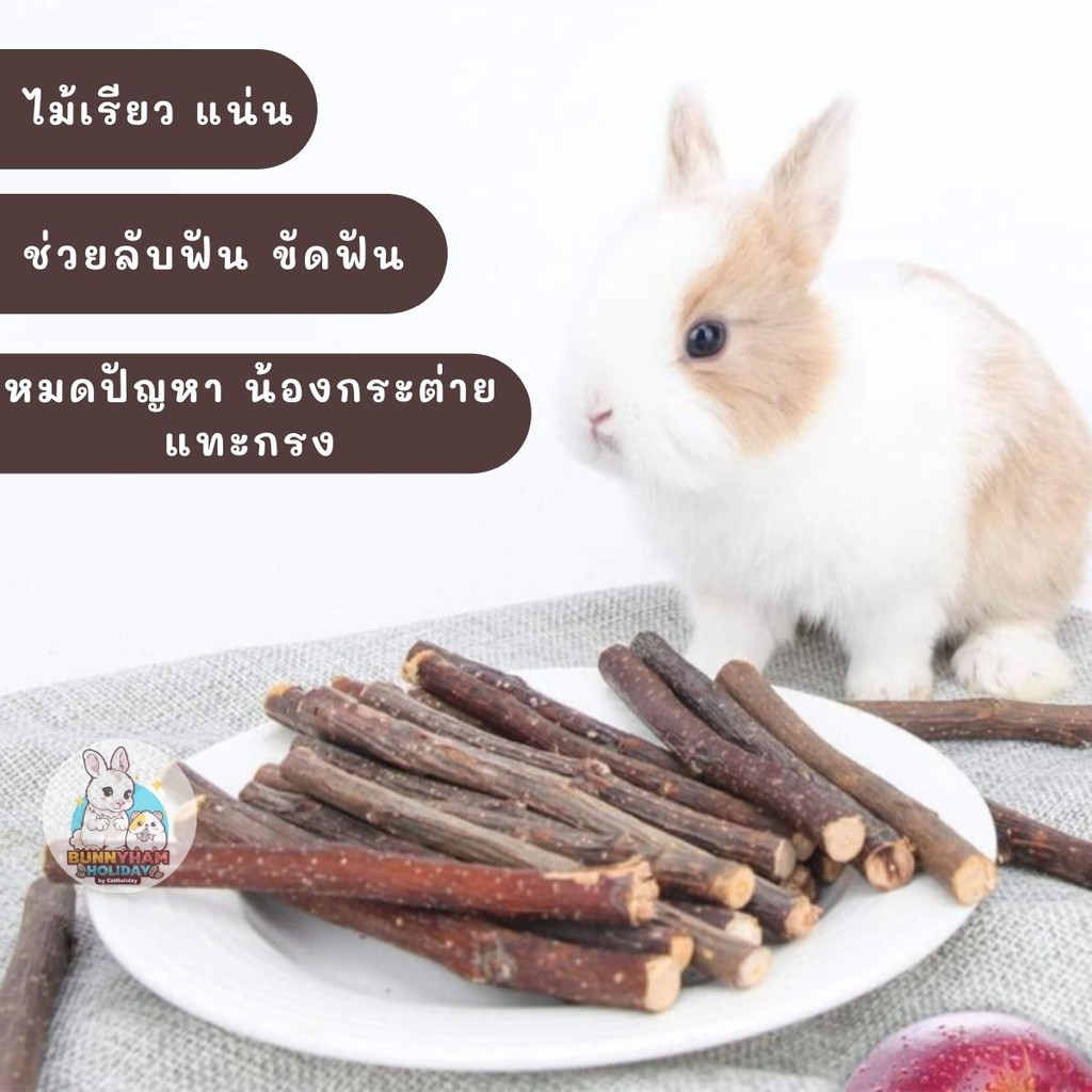 catholiday-ไม้แอปเปิ้ล-50-กรัม-ไม้ลับฟัน-สำหรับกระต่าย-แก๊สบี้-ชิลชิล่า-และสัตว์ฟันแทะทุกชนิด